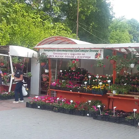 Dreamcatcher's By Rv דירה *