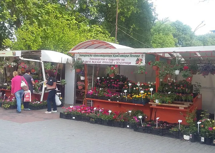 Dreamcatcher's By Rv 公寓 *