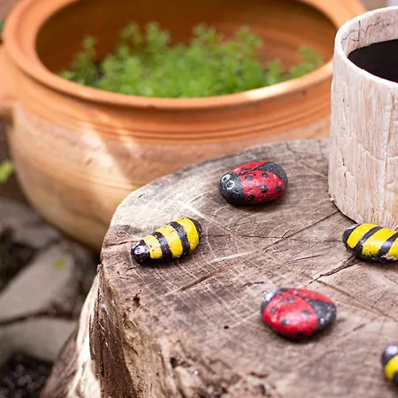 Апартамент Dreamcatcher's By Rv *